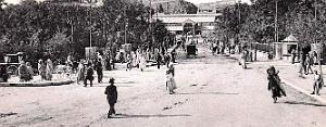 2981- Constantine - Allee des Squares2 - 1904